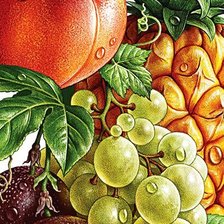 Схема вышивки «№1271164»