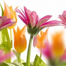 Схема вышивки «1»