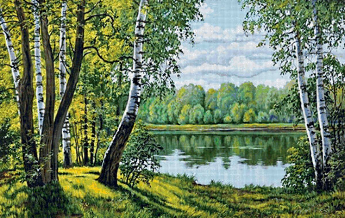 родные просторы - березы, река, лес, озеро, пейзаж, лето - предпросмотр