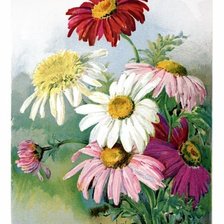 Схема вышивки «№1271678»