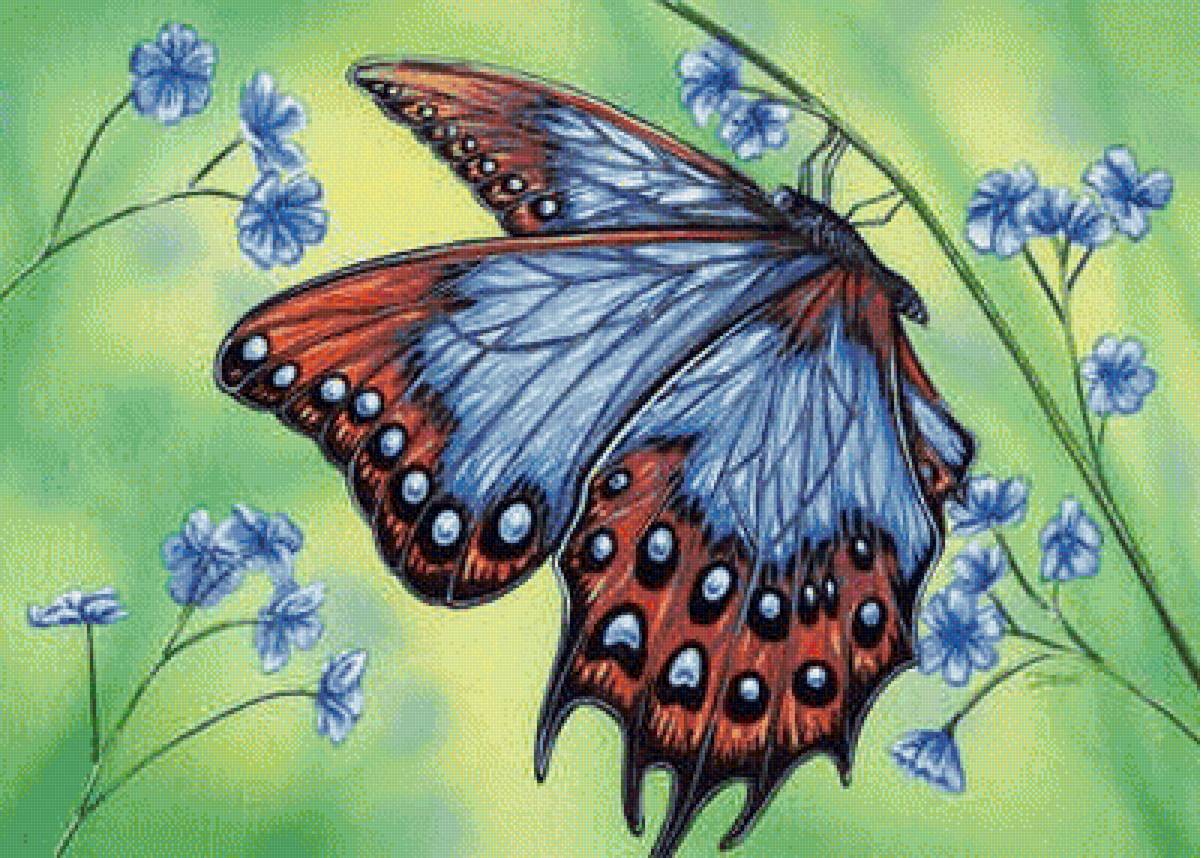 Бабочка на цветке - бабочка, цветы - предпросмотр