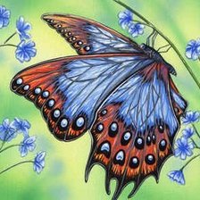 Оригинал схемы вышивки «Бабочка на цветке» (№1271935)