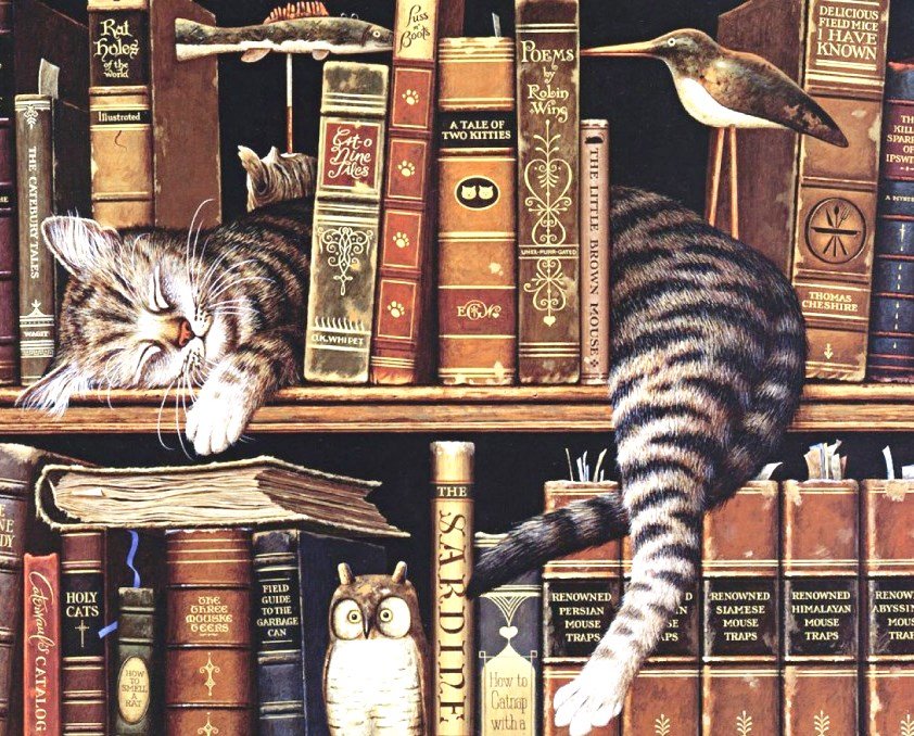 Сон - сова, книги, спящий котенок - оригинал