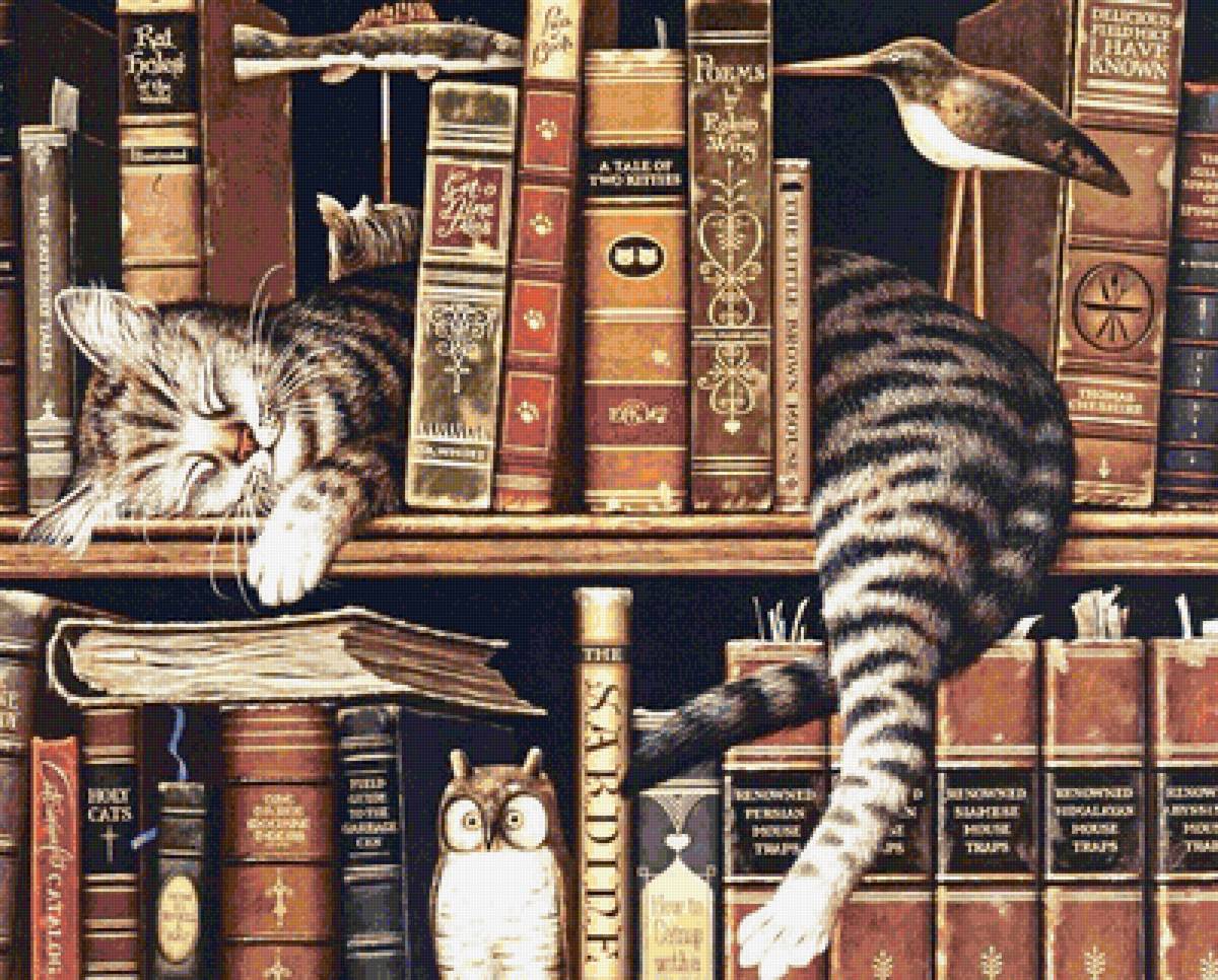 Сон - спящий котенок, книги, сова - предпросмотр