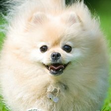 Схема вышивки «Йока2»