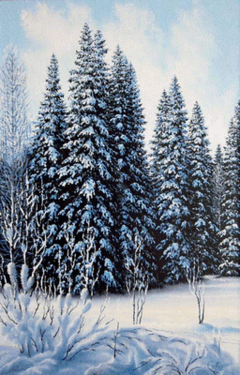 после снегопада - пейзаж, сосны, деревья, зима, снег - предпросмотр