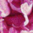 Предпросмотр схемы вышивки «розовые пионы» (№1273074)