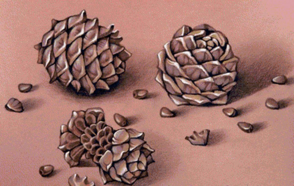 Шишки - предпросмотр