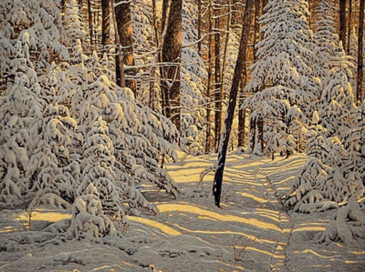 снежное царство - зима, пейзаж, деревья, снег, лес, ели, ель, елка, елки - предпросмотр