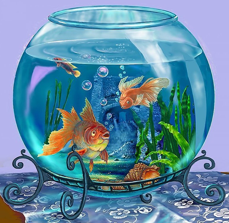Аквариум - зоолотая рыбка, рыбки - оригинал