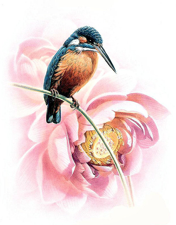 №1273667 - оригинал