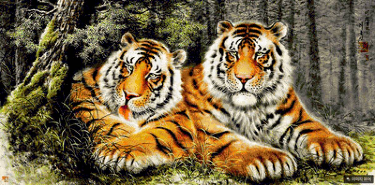 два тира - предпросмотр