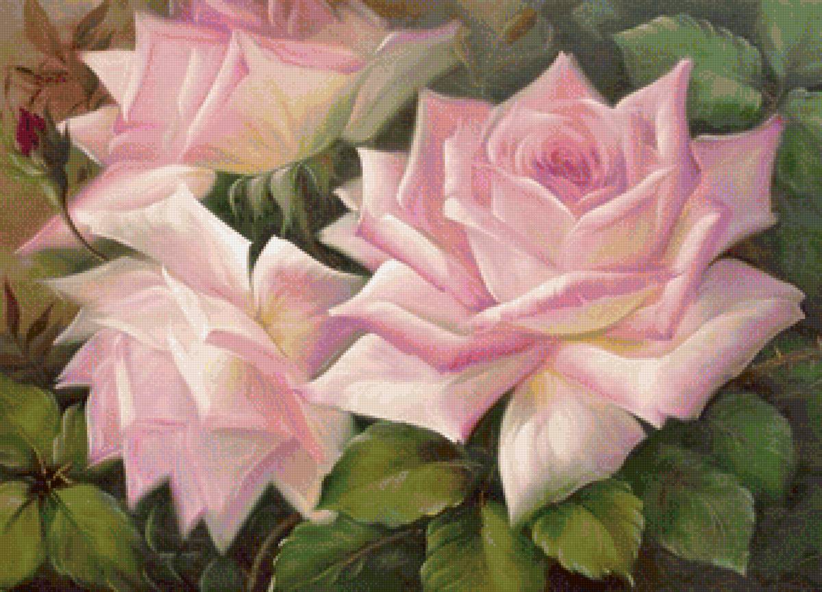 Три розы - цветы, розы - предпросмотр