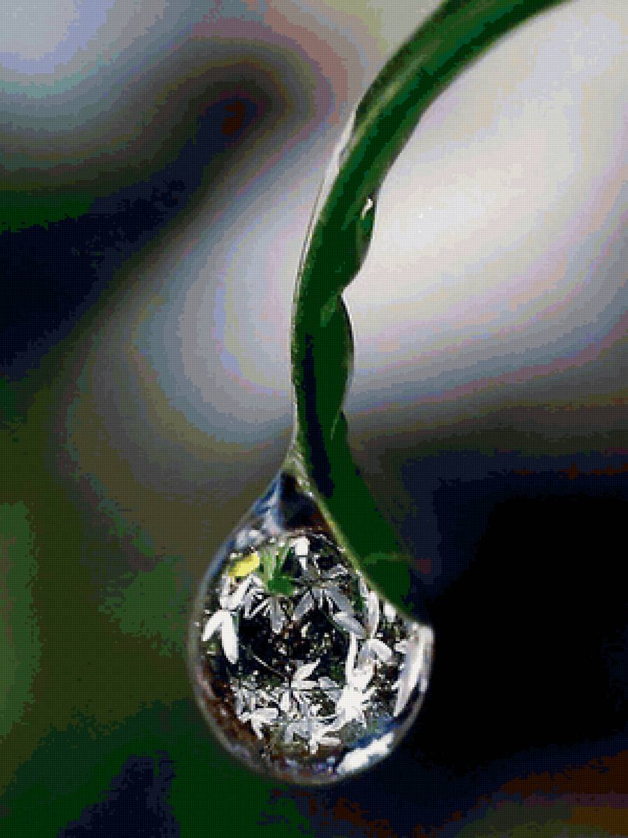 капли - капли - предпросмотр