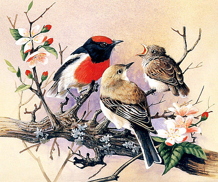 №1274184 - оригинал