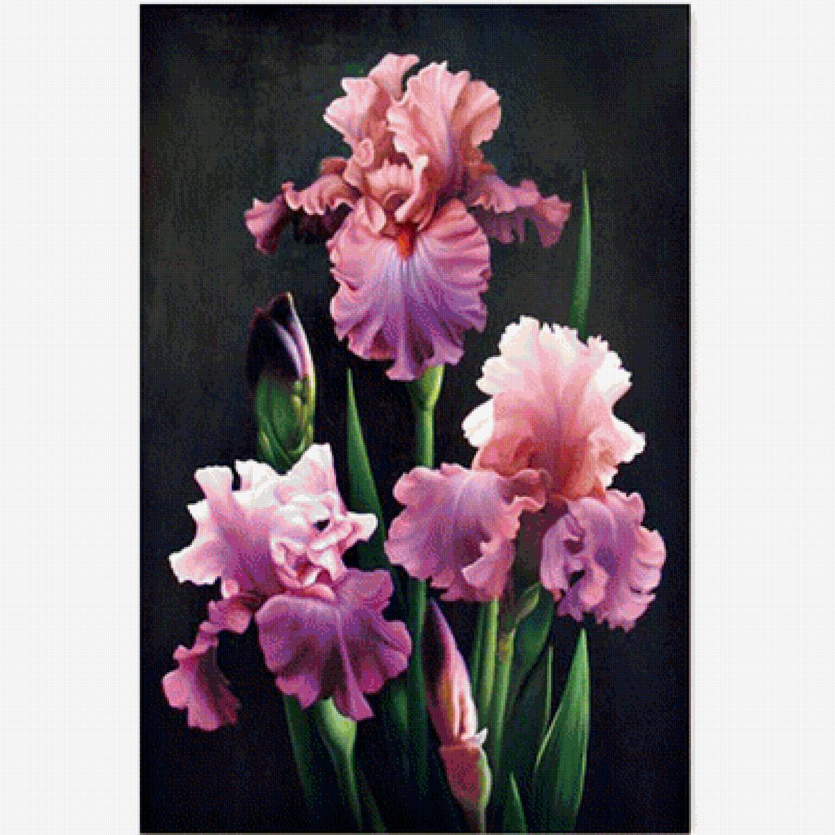 №1274455 - предпросмотр