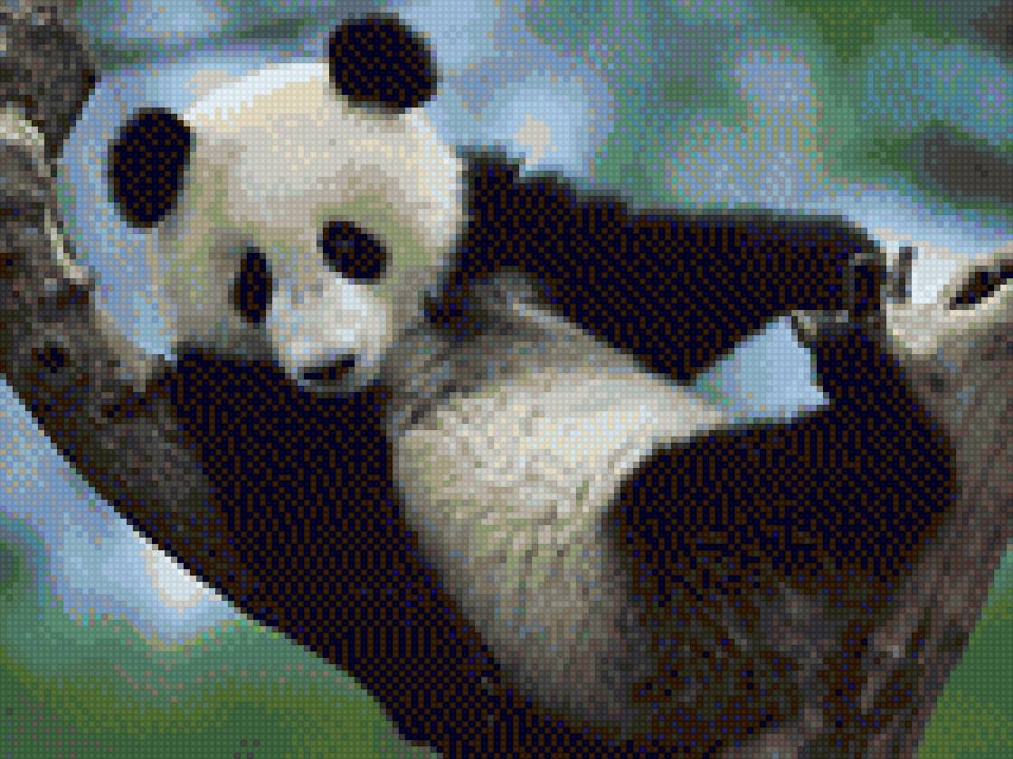 Панда - панда - предпросмотр
