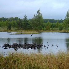 Озера в Ивановской области