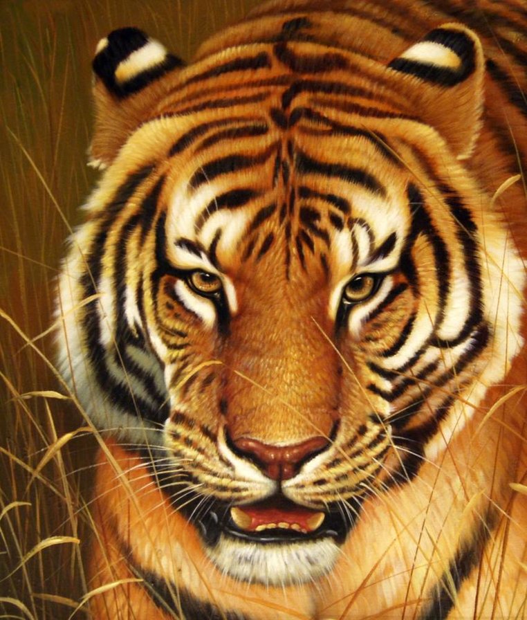 Тигр - хищник, тигр, кошка - оригинал