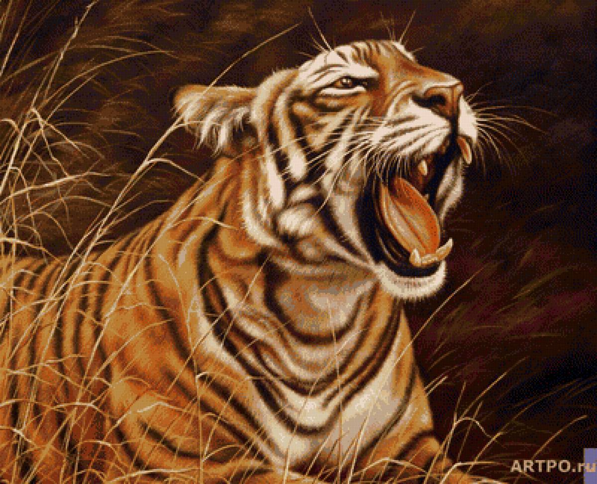 Тигр - кошка, хищник, тигр - предпросмотр