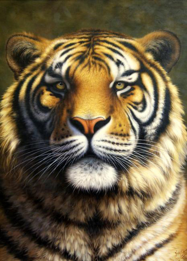 Тигр - хищник, тигр, кошка - оригинал
