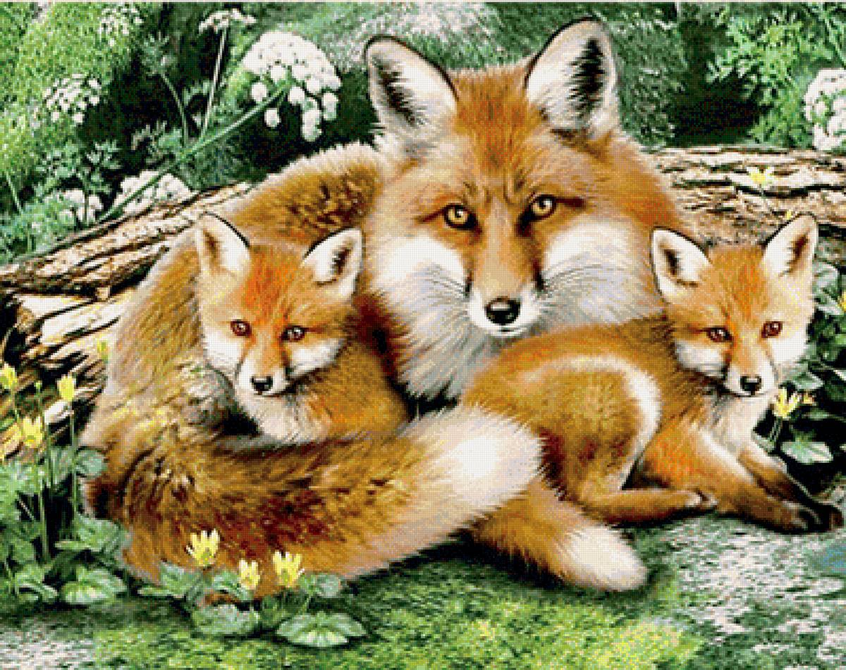 материнство - лиса. животное - предпросмотр