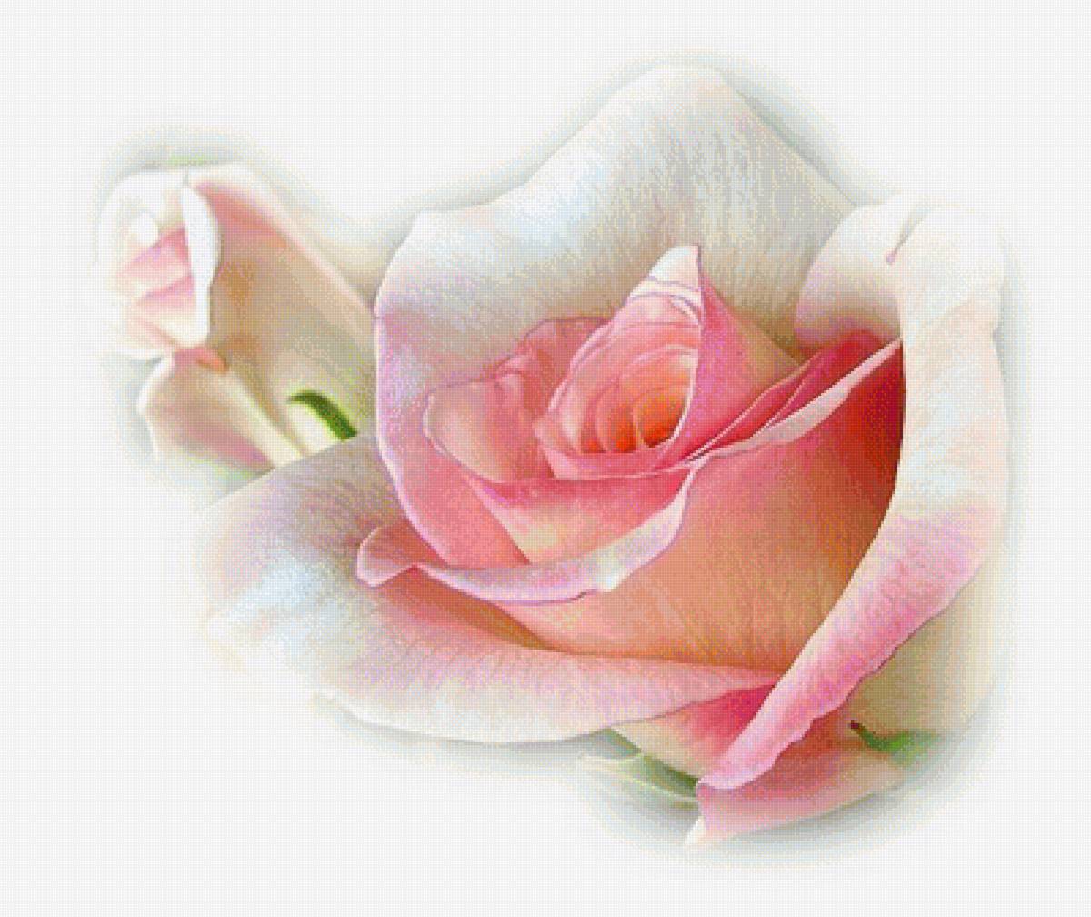 №1275338 - предпросмотр