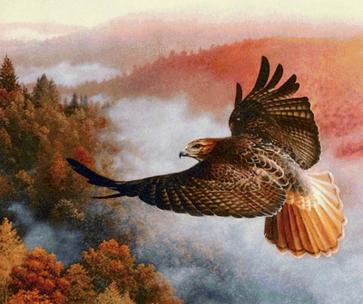 Картинка пернатый. Коршун в небе и человек живопись. Полет орла Джон Коган картины. Живопись птицы в полете. Пейзажи с орлами.