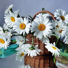 Схема вышивки «букет ромашек»