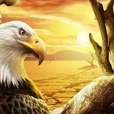 Схема вышивки «орёл2»