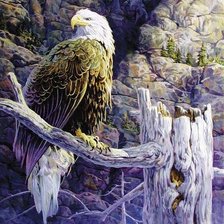 Схема вышивки «орёл4»