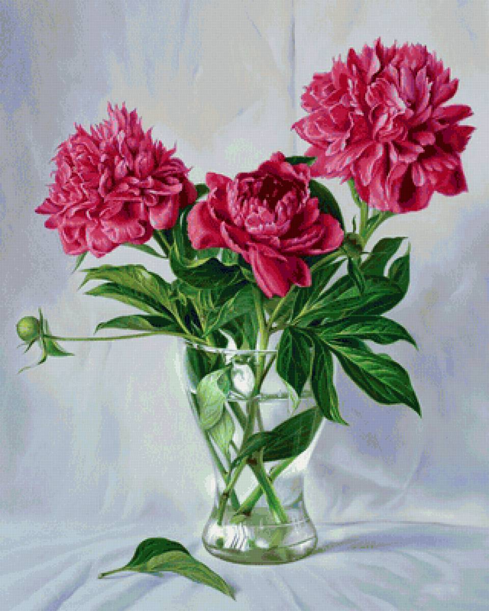 Пионовое великолепие - натюрморт, цветы в вазе, розовые цветы, цветы, розовые пионы, пионы - предпросмотр