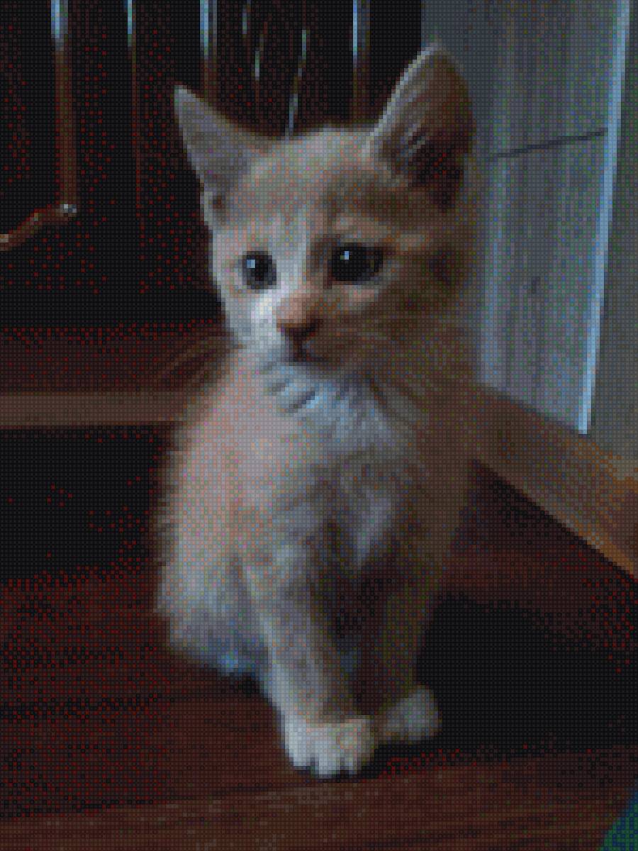 Котёнок - предпросмотр