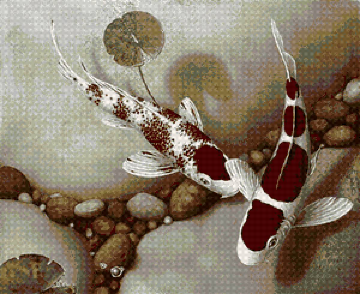 рыбки кои 1 - вода, пара, рыбки - предпросмотр