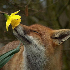 Схема вышивки «№1277508»