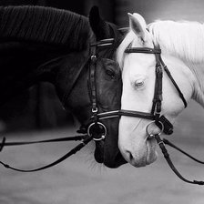 Схема вышивки «лошади»