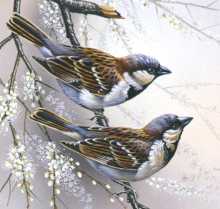 птички-невелички - воробей, воробьи, птицы, весна, пара - оригинал