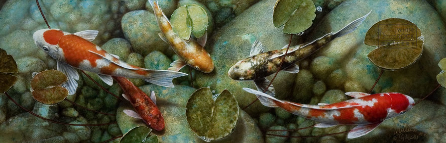 кои - оригинал