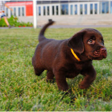 Схема вышивки «№1277884»