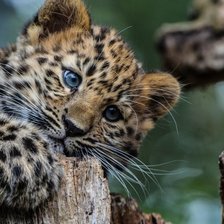 Схема вышивки «малыш»