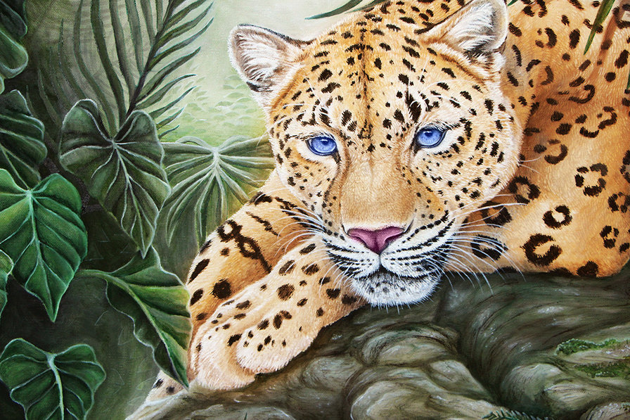 Серия "Фауна" - хищник, леопард, взгляд, джунгли - оригинал