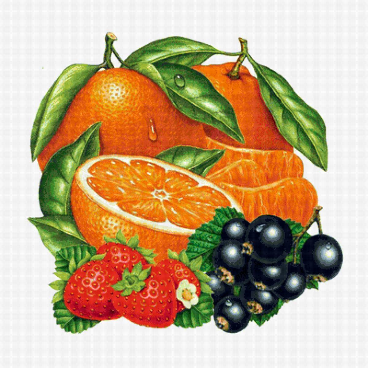 Фрукты картинки для детей. Фрукты рисунок. Рисовать фрукты. Рисунки ягоды и фрукты. Фрукты и ягоды детям.