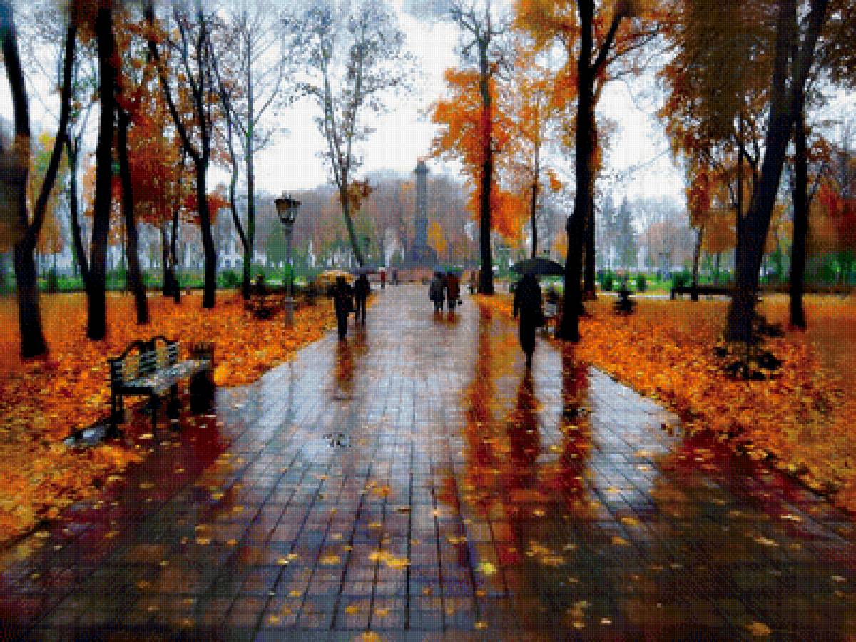 Осень в парке - парк, осень, дождь - предпросмотр