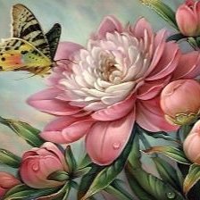 Схема вышивки «ПИОН И БАБОЧКА»