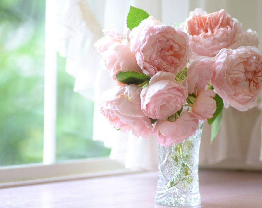 пионы - цветы пионы букет - оригинал