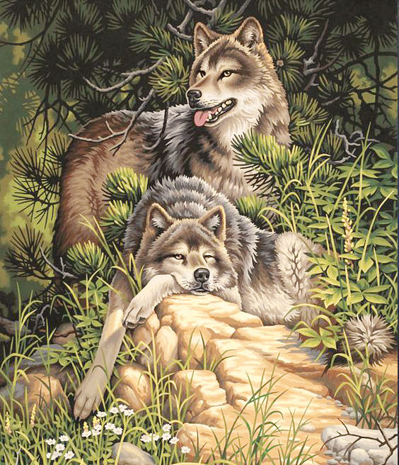 223 - хищники - оригинал