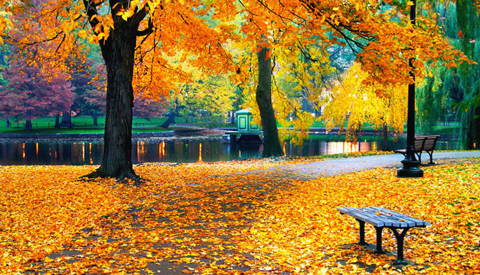 осенний парк - пейзаж, осень, река, природа - оригинал