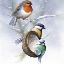 Схема вышивки «птицы»