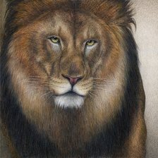 Оригинал схемы вышивки «король-лев» (№1280685)