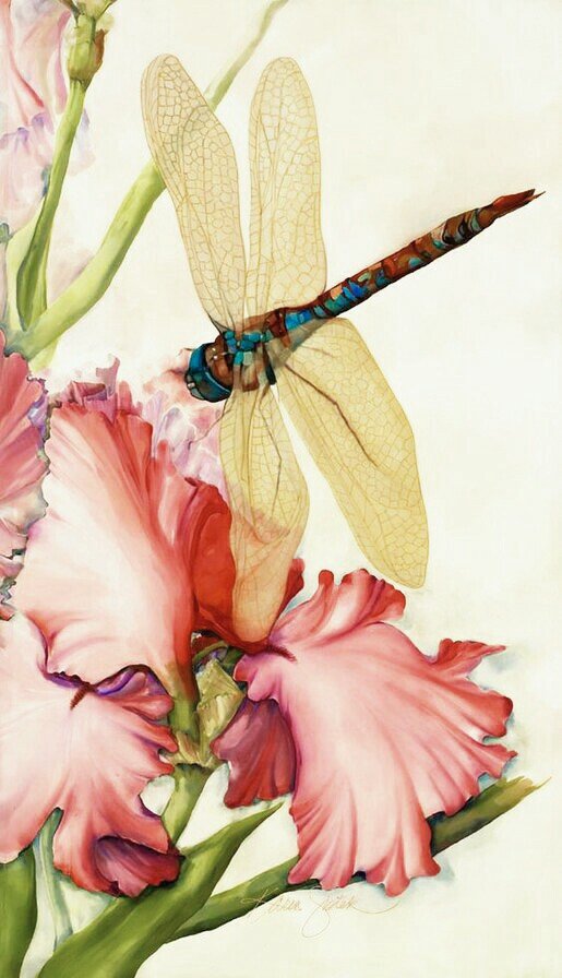 ирис и стрекоза ( осветлена,добавлена яркость) для Miledi68 - оригинал